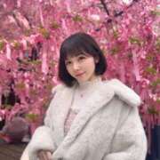 ヒメ日記 2025/05/04 19:21 投稿 ひなこ Versailles