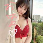 ヒメ日記 2025/07/25 11:51 投稿 ひなこ Versailles