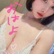 ヒメ日記 2025/08/10 07:11 投稿 ひなこ Versailles