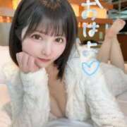 ヒメ日記 2025/09/15 07:19 投稿 ひなこ Versailles