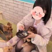 ヒメ日記 2025/09/21 19:24 投稿 ひなこ Versailles