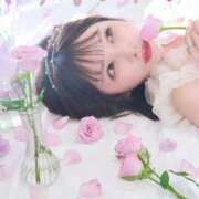 ヒメ日記 2025/10/11 07:21 投稿 ひなこ Versailles