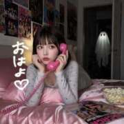 ヒメ日記 2025/10/31 07:21 投稿 ひなこ Versailles