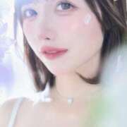 ヒメ日記 2025/12/28 15:42 投稿 ひなこ Versailles