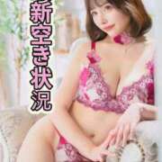 ヒメ日記 2026/04/08 08:31 投稿 ひなこ Versailles