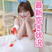 ヒメ日記 2026/04/14 08:21 投稿 ひなこ Versailles