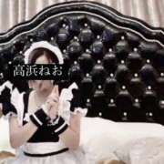 ヒメ日記 2025/01/13 16:55 投稿 高浜 ねお セレブリフレ水戸