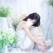 ヒメ日記 2026/04/09 14:20 投稿 あまね ごほうびSPA五反田店