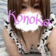 ヒメ日記 2025/04/29 21:50 投稿 このか 千葉人妻花壇