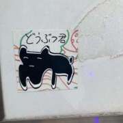 ヒメ日記 2025/03/14 12:22 投稿 あこ 萌えカワ