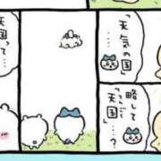 ヒメ日記 2025/08/10 06:52 投稿 あこ 萌えカワ