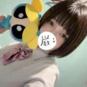 ヒメ日記 2025/09/02 13:31 投稿 あこ 萌えカワ