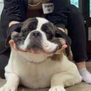 ヒメ日記 2025/10/05 16:24 投稿 あこ 萌えカワ