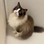 ヒメ日記 2025/06/24 18:37 投稿 しろ AFTER V（アフターファイブ）