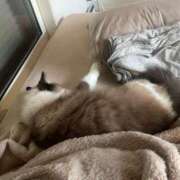 ヒメ日記 2025/11/23 21:02 投稿 しろ AFTER V（アフターファイブ）