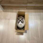 ヒメ日記 2026/01/22 22:21 投稿 しろ AFTER V（アフターファイブ）