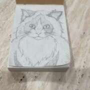 ヒメ日記 2026/03/27 23:19 投稿 しろ AFTER V（アフターファイブ）