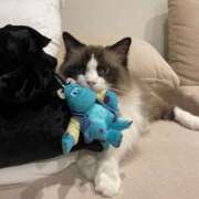 ヒメ日記 2026/04/22 18:02 投稿 しろ AFTER V（アフターファイブ）