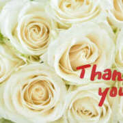 ヒメ日記 2025/02/05 10:00 投稿 さくらこ 奥鉄オクテツ神奈川店（デリヘル市場グループ）