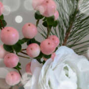 ヒメ日記 2025/02/12 10:45 投稿 さくらこ 奥鉄オクテツ神奈川店（デリヘル市場グループ）