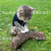 ヒメ日記 2025/04/23 17:45 投稿 さくらこ 奥鉄オクテツ神奈川店（デリヘル市場グループ）