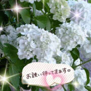 ヒメ日記 2025/07/07 23:00 投稿 さくらこ 奥鉄オクテツ神奈川店（デリヘル市場グループ）