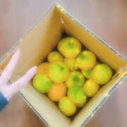 ヒメ日記 2025/11/06 19:55 投稿 さくらこ 奥鉄オクテツ神奈川店（デリヘル市場グループ）