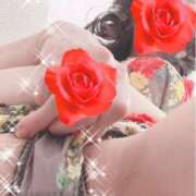 ヒメ日記 2025/12/03 16:28 投稿 らん 俺のヤバい妻。(谷九)