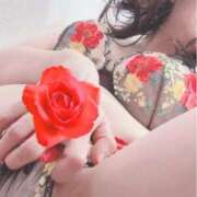 ヒメ日記 2025/12/14 21:51 投稿 らん 俺のヤバい妻。(谷九)