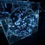 ヒメ日記 2025/12/25 23:53 投稿 さら 俺のヤバい妻。(谷九)