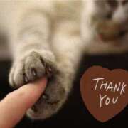 ヒメ日記 2025/02/23 15:40 投稿 あやな 俺のヤバい妻。(谷九)