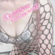 ヒメ日記 2025/08/20 13:37 投稿 るる 俺のヤバい妻。(谷九)