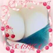 ヒメ日記 2025/03/17 18:32 投稿 さいか 俺のヤバい妻。(谷九)