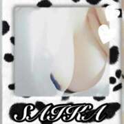 ヒメ日記 2025/03/19 15:11 投稿 さいか 俺のヤバい妻。(谷九)