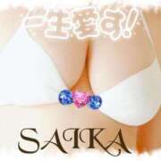 ヒメ日記 2025/03/20 13:06 投稿 さいか 俺のヤバい妻。(谷九)