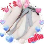 ヒメ日記 2025/04/05 12:45 投稿 さいか 俺のヤバい妻。(谷九)