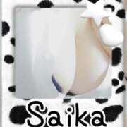 ヒメ日記 2025/04/13 16:45 投稿 さいか 俺のヤバい妻。(谷九)