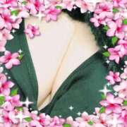 ヒメ日記 2025/06/17 14:05 投稿 さいか 俺のヤバい妻。(谷九)