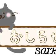 ヒメ日記 2025/08/15 00:06 投稿 さいか 俺のヤバい妻。(谷九)