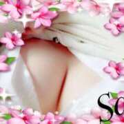 ヒメ日記 2025/09/24 19:00 投稿 さいか 俺のヤバい妻。(谷九)