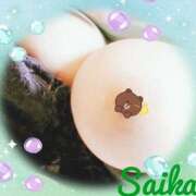 ヒメ日記 2025/09/28 10:31 投稿 さいか 俺のヤバい妻。(谷九)