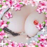 ヒメ日記 2025/10/16 16:45 投稿 さいか 俺のヤバい妻。(谷九)