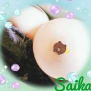 ヒメ日記 2025/11/22 13:31 投稿 さいか 俺のヤバい妻。(谷九)