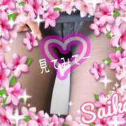 ヒメ日記 2025/11/26 17:45 投稿 さいか 俺のヤバい妻。(谷九)