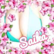 ヒメ日記 2025/12/09 12:16 投稿 さいか 俺のヤバい妻。(谷九)