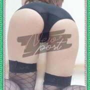 ヒメ日記 2025/12/31 11:44 投稿 さいか 俺のヤバい妻。(谷九)