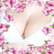 ヒメ日記 2026/01/19 18:15 投稿 さいか 俺のヤバい妻。(谷九)