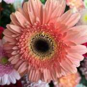 ヒメ日記 2025/01/10 19:27 投稿 常盤洋子 五十路マダム 博多店