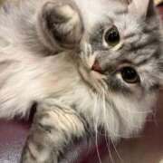 ヒメ日記 2025/03/14 20:22 投稿 のあ 君とふわふわプリンセスin立川