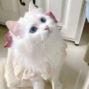 ヒメ日記 2025/06/26 18:05 投稿 ゆん☆激カワ素人！！☆ Honey